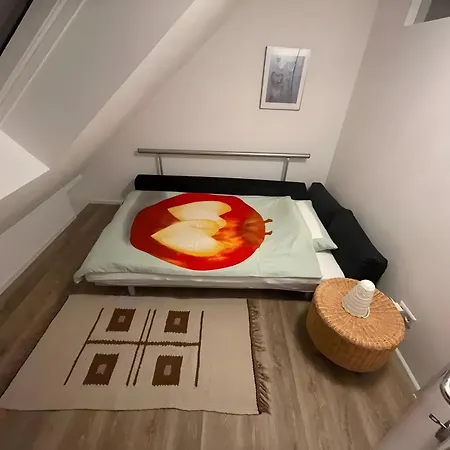 Appartement Dachwohnung Mit Blick Nach Basel *