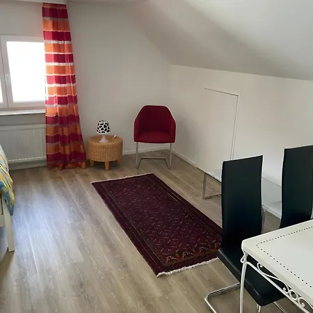 公寓 Dachwohnung Mit Blick Nach Basel 伊兹林根
