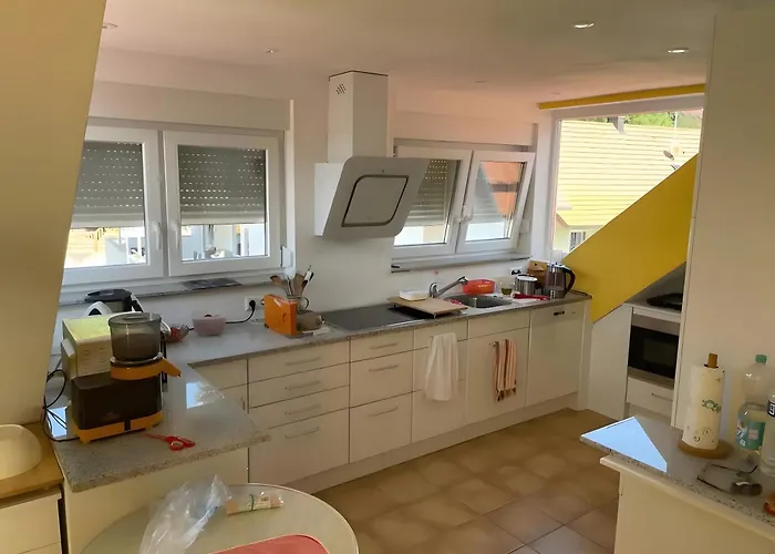 Dachwohnung Mit Blick Nach Basel