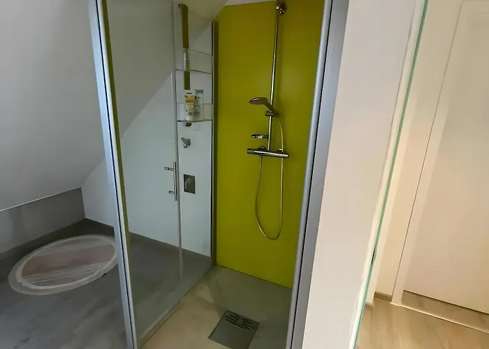 Dachwohnung Mit Blick Nach Basel Appartement *